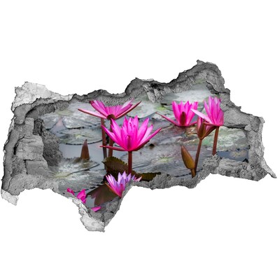 3D Wandtattoos Mauerdurchbruch Wasserblumen im Teich