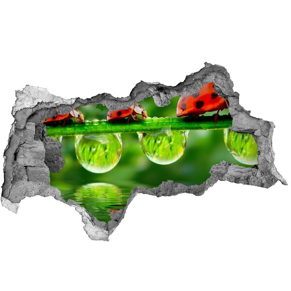 Wandtattoos Mauerdurchbruch Ein Tropfen Natur mit einem Marienkäfer