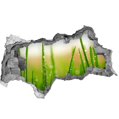 Wandbilder 3D Mauerdurchbruch Grüne Wiese mit Wassertropfen
