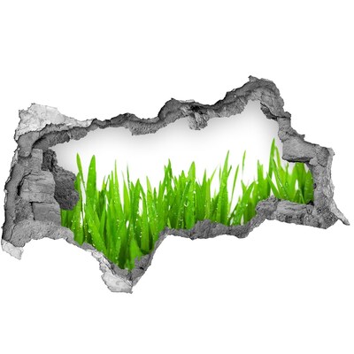 Wandtattoos Mauerdurchbruch Grüne Wiese durch ein Loch in der Wand