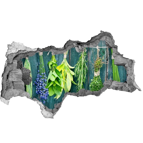 3D Wandtattoos Mauerdurchbruch Kräutergarten in der Küche