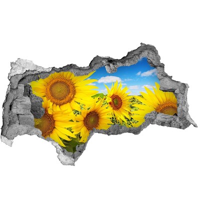 Wandbilder 3D Mauerdurchbruch Ein Blumenparadies mit Sonnenblumen