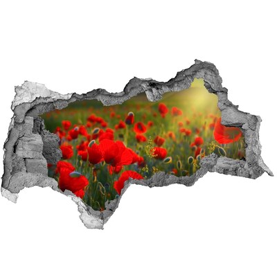 Wandbilder 3D Mauerdurchbruch Ein verstecktes Blumenparadies