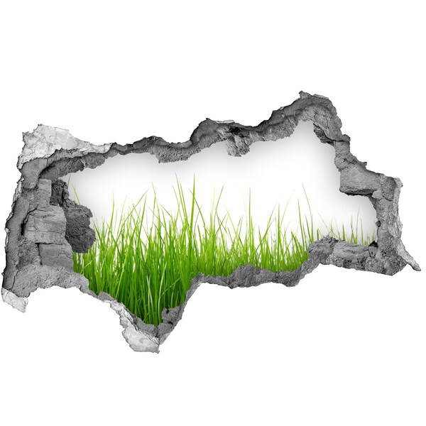 3D Wandtattoos Mauerdurchbruch Eine grüne Wiese hinter der Mauer