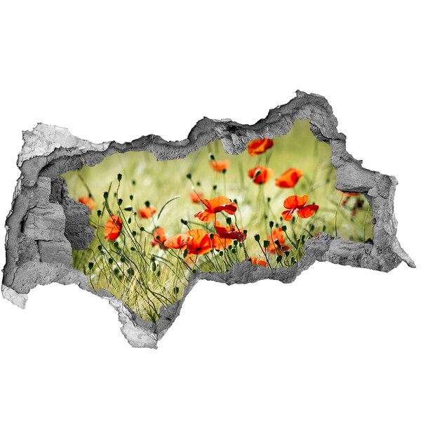 Wandbilder 3D Mauerdurchbruch Ein Blumenparadies inmitten der Mohnblumen