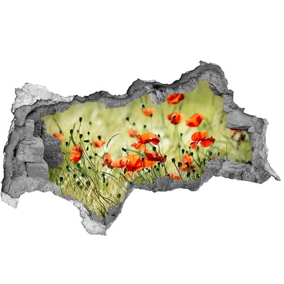 Wandbilder 3D Mauerdurchbruch Ein Blumenparadies inmitten der Mohnblumen