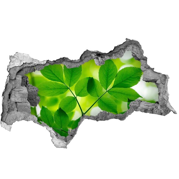 Wandbilder 3D Mauerdurchbruch Eine grüne Oase aus Beton