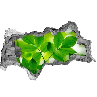 Wandbilder 3D Mauerdurchbruch Eine grüne Oase aus Beton