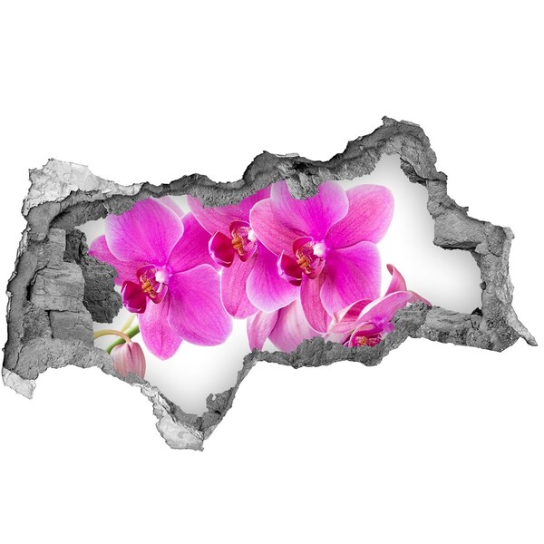 Wandbilder 3D Mauerdurchbruch Orchideenblüten in einem Betonloch