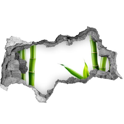 Wandbilder 3D Mauerdurchbruch Grüne Pflanze durch ein Loch in der Wand