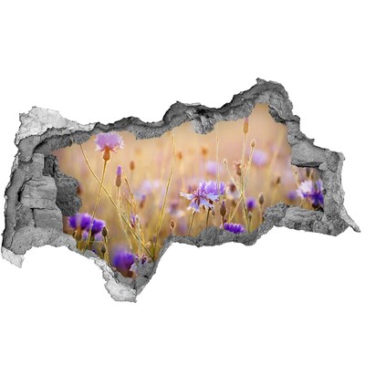 Wandbilder 3D Mauerdurchbruch Ein Blumenparadies hinter der Mauer