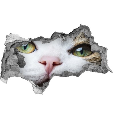 Wandtattoos Mauerdurchbruch Die Katze in der Wand