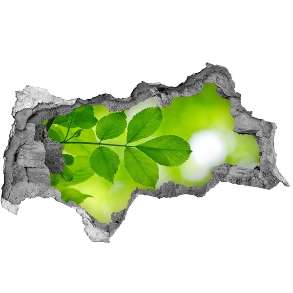 Wandbilder 3D Mauerdurchbruch Eine grüne Oase aus Beton