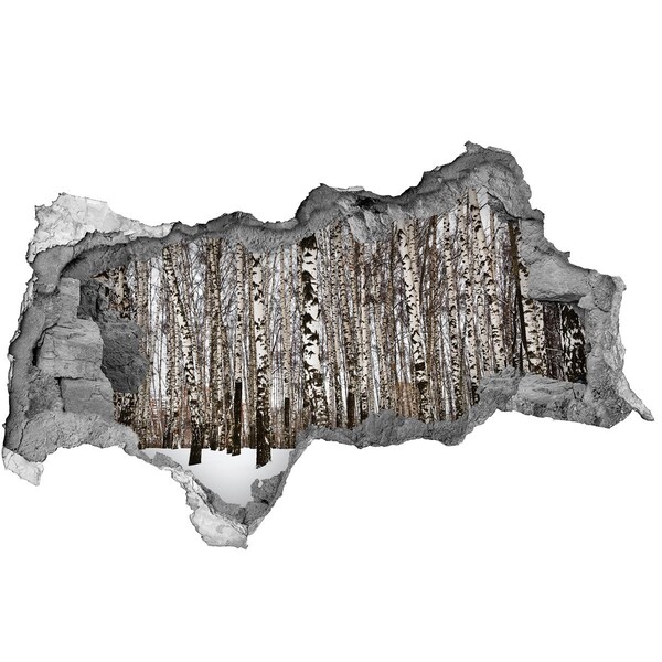 Wandbilder 3D Mauerdurchbruch Winterbirkenwald