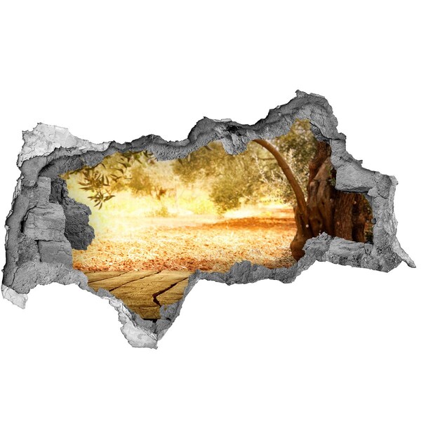 3D Wandtattoos Mauerdurchbruch Garten in der Sonne