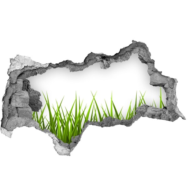 3D Wandtattoos Mauerdurchbruch Eine grüne Wiese hinter der Mauer