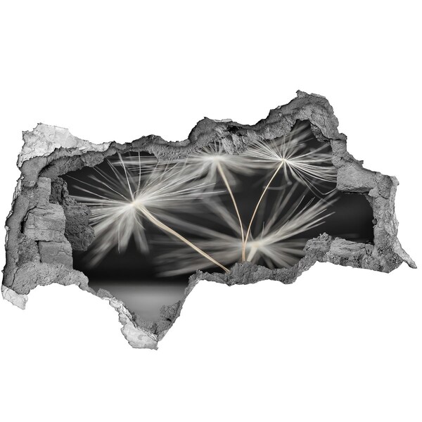 3D Wandtattoos Mauerdurchbruch Löwenzahnblüten im Beton