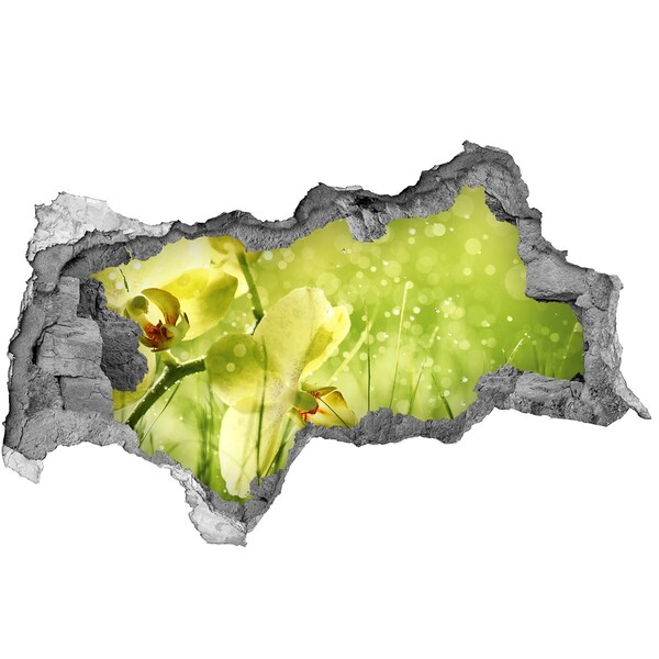 Wandbilder 3D Mauerdurchbruch Eine blühende Oase im Grünen