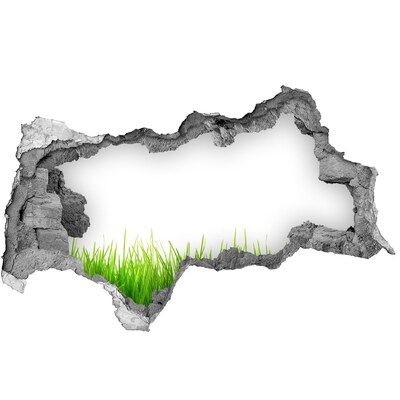 3D Wandtattoos Mauerdurchbruch Eine grüne Wiese hinter der Mauer