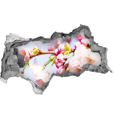 Mauerdurchbruch Aufkleber Kirschblüten im Frühling