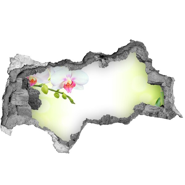 Wandtattoos Mauerdurchbruch Orchideenblüten im Bambusgarten