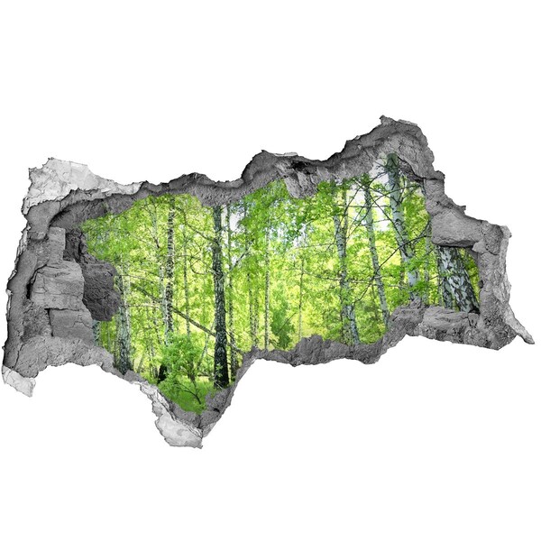 3D Wandtattoos Mauerdurchbruch Grüner Wald im Sonnenlicht