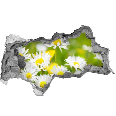 3D Wandtattoos Mauerdurchbruch Blumen auf der Wiese