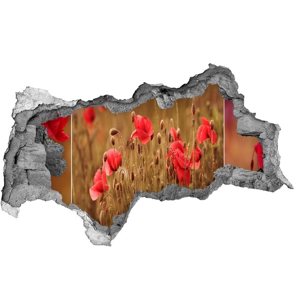 Wandbilder 3D Mauerdurchbruch Blumen zwischen der zerstörten Mauer