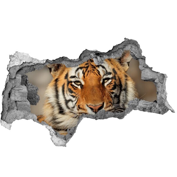 3D Wandtattoos Mauerdurchbruch Tiger in einem Loch in der Wand