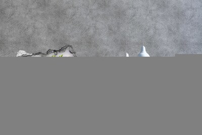 3D Wandtattoos Mauerdurchbruch Ein Blumenparadies hinter der Mauer