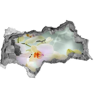 Wandbilder 3D Mauerdurchbruch Blumen aus Beton