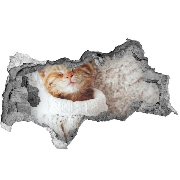 Mauerdurchbruch Aufkleber Niedliche Katze im Pullover