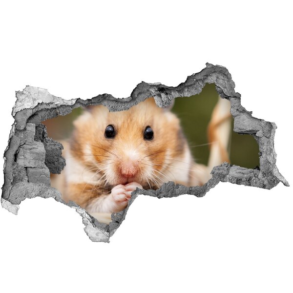 3D Wandtattoos Mauerdurchbruch Hamster in einem durchsichtigen Loch in der Wand