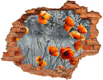 Wandtattoos 3D Optik Loch Blumen in einem Loch in der Wand
