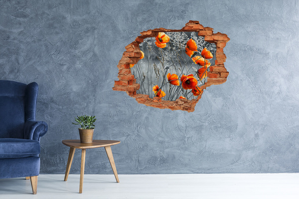Wandtattoos 3D Optik Loch Blumen in einem Loch in der Wand
