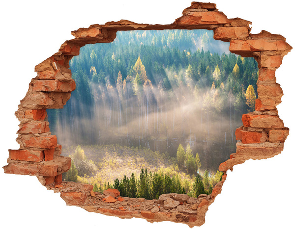 Wandtattoos Loch in der Wand Waldlandschaft hinter der Mauer