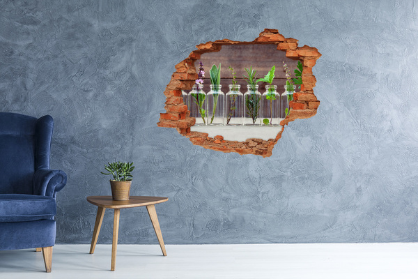 Wandtattoos Loch Eine grüne Oase in Glasgefäßen