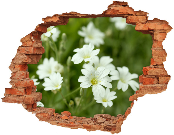 Wandtattoos 3D Optik Loch Blumen in einem Loch in der Wand