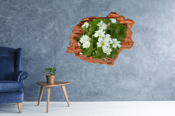 Wandtattoos 3D Optik Loch Blumen in einem Loch in der Wand