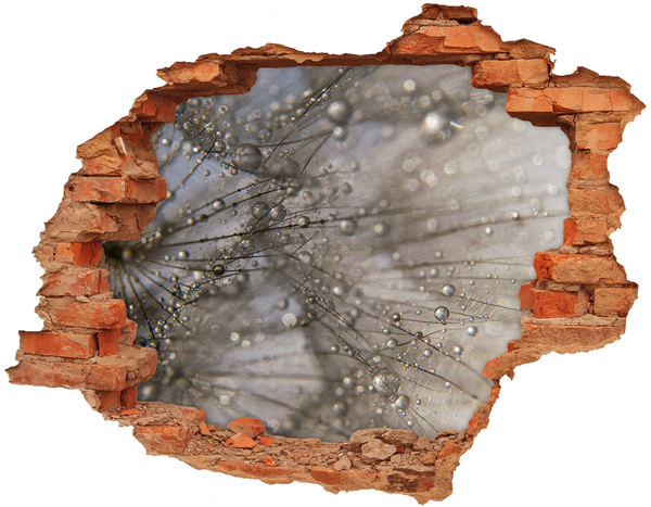 Wandtattoos 3D Optik Loch Wassertropfen auf Glas