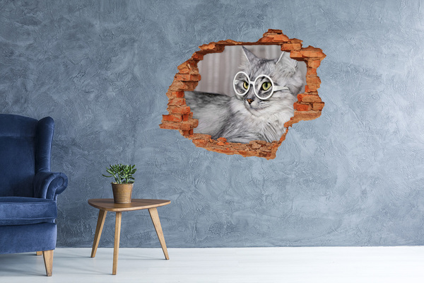 Wandbilder 3D Mauerdurchbruch Katze mit Brille durch ein Loch in der Wand