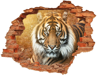 Wandbilder 3D Mauerdurchbruch Tiger in einem Loch in der Wand