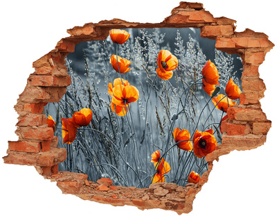 Wandtattoos 3D Optik Loch Blumen in einem Loch in der Wand