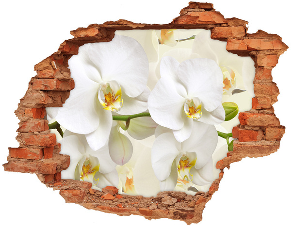 Wandtattoos Loch in der Wand Orchideen im Beton