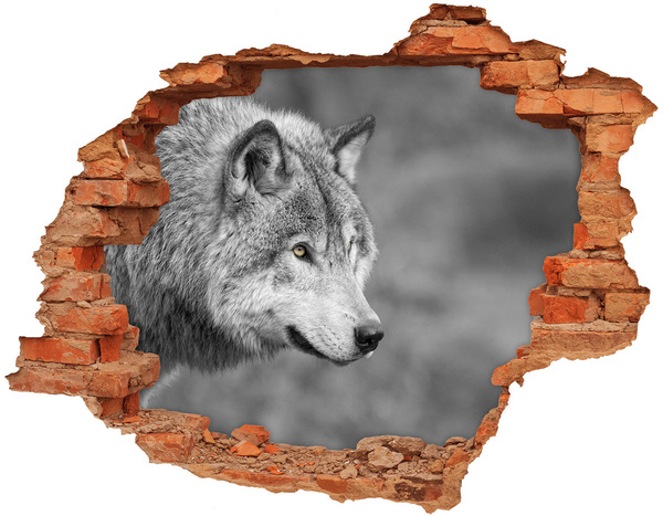 Wandbilder 3D Mauerdurchbruch Wolf in einem Loch in der Wand