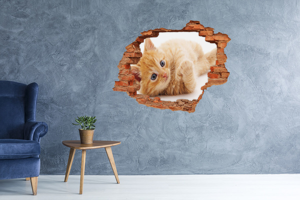Wandbilder 3D Mauerdurchbruch Katze in einem Loch in der Wand