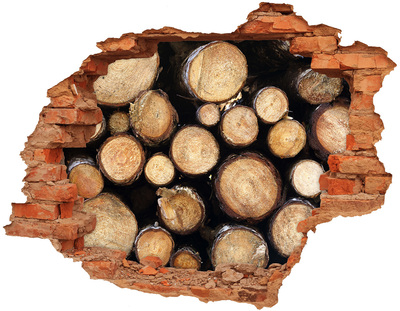 Wandtattoos 3D Optik Loch Holz in einem Loch in der Wand