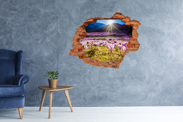 3D Loch Aufkleber Ein Blumenfeld im Sonnenschein