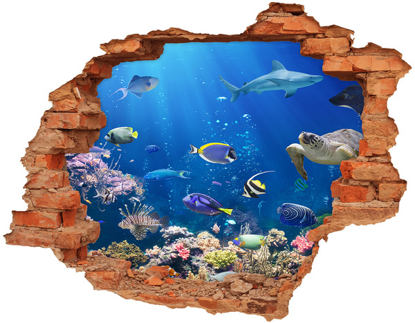 Wandtattoos Loch in der Wand Eine Unterwasserwelt voller Fische
