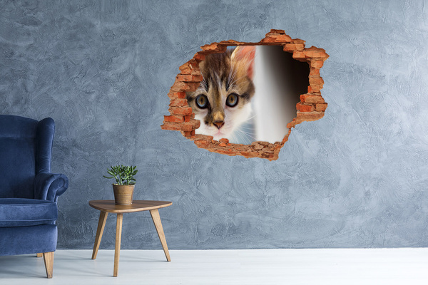 Wandtattoos 3D Optik Loch Katze in einem Loch in der Wand